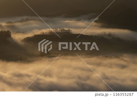 絶景雲海に感動 絶景雲海に感動 116355287