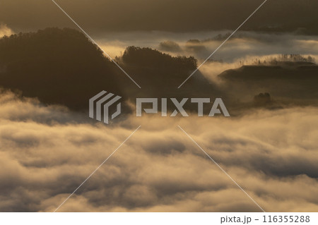 絶景雲海に感動 絶景雲海に感動 116355288