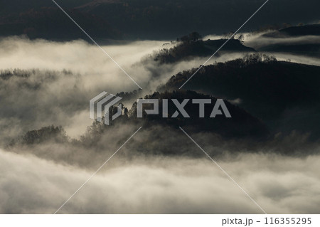 絶景雲海に感動 116355295