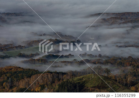 絶景雲海に感動 絶景雲海に感動 116355299