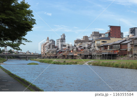 京都　鴨川の四条大橋上流の風景 116355584