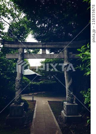 宿鳳山高円寺の神秘の双龍鳥居 宿鳳山高円寺の神秘の双龍鳥居 116355678