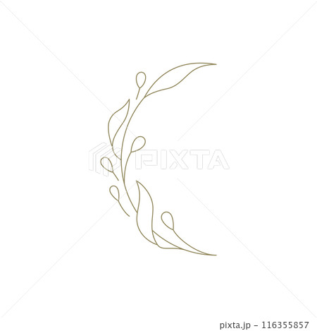 Flourish botanical curved branch with leaves and berries linear decor for simple logo vector 116355857