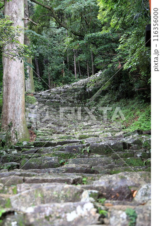 熊野神倉神社 116356000