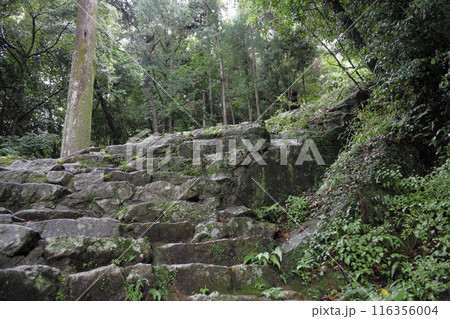 熊野神倉神社 116356004