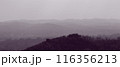 山地 山間地 山岳地帯 116356213
