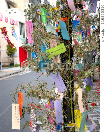 下町七夕まつり 東京都 下町七夕まつり 東京都 116356310