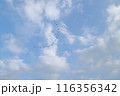 鳥の群れ 省エネルギー 自然 116356342