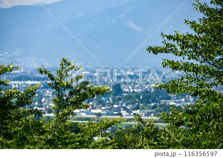 高台からみた安曇野の田園風景 高台からみた安曇野の田園風景 116356597