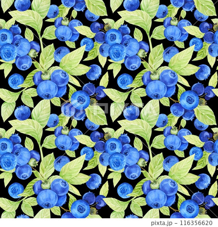 Blueberry watercolor pattern. Seamless pattern of ripe berries on a dark background. Botanical hand drawn illustration for fabric, textile, wallpaper, wrapping paper. Blueberry watercolor pattern. Seamless pattern of ripe berries on a dark background. Botanical hand drawn illustration for fabric, textile, wallpaper, wrapping paper. 116356620