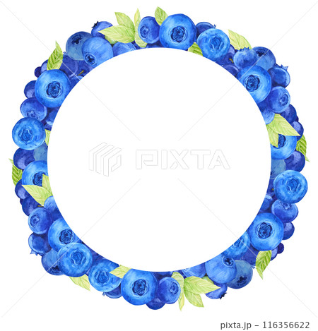 Blueberry wreath. Watercolor drawing by hand. Round frame of ripe juicy summer berries. Clipart for packaging design of farm, natural, vegetarian products. Blueberry wreath. Watercolor drawing by hand. Round frame of ripe juicy summer berries. Clipart for packaging design of farm, natural, vegetarian products. 116356622