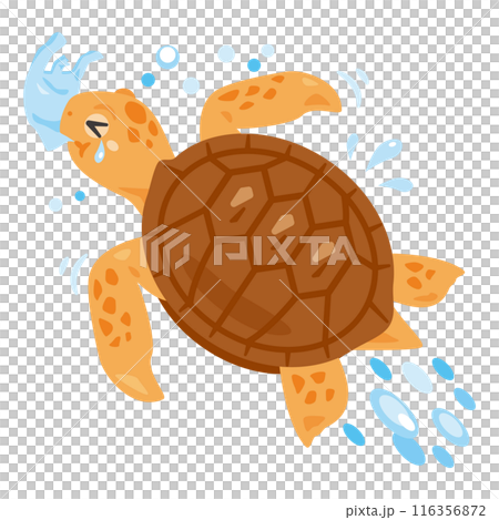 Sea turtles eat trash, mistaking it for food 116356872