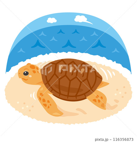 砂浜を歩くウミガメ 116356873