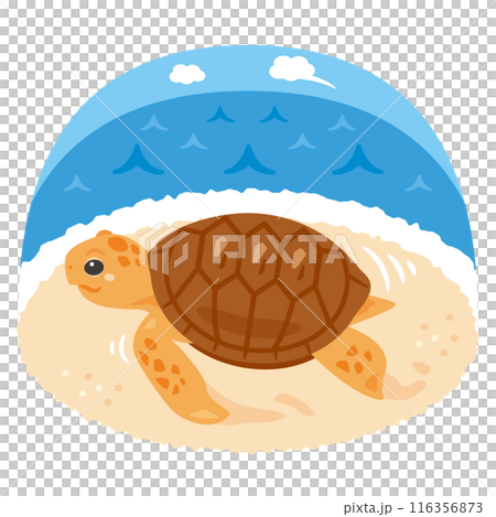 砂浜を歩くウミガメ 116356873