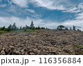 大菩薩峠の岩場　ガレ場 116356884