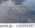 大菩薩峠, 山頂付近の標識 116356897