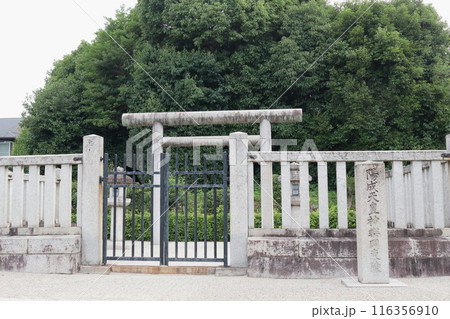 京都　陽成天皇　神楽岡東陵 116356910