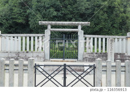 京都　陽成天皇　神楽岡東陵 116356913