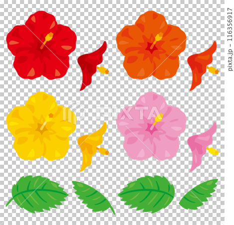 Hibiscus set 2 116356917