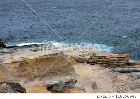 白浜千畳敷 白浜千畳敷 116356945