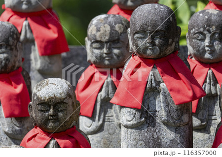京都大原念佛寺　ずらりと並ぶお地蔵様 116357000