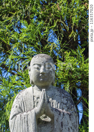 京都大原念佛寺 116357020