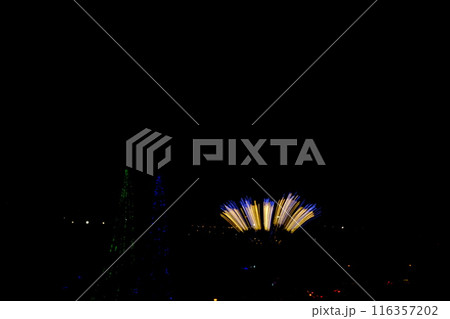 打ち上げ花火とイルミネーション 【相模原市津久井 11月】 打ち上げ花火とイルミネーション 【相模原市津久井 11月】 116357202