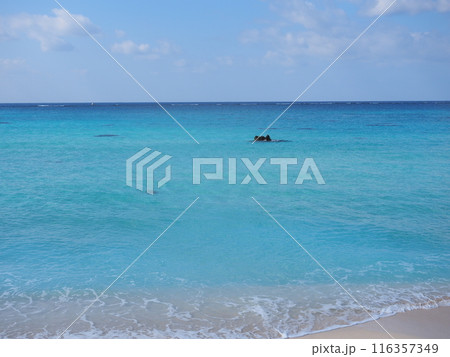 17ENDの青い海と砂浜/沖縄県宮古島市（下地島）11 116357349