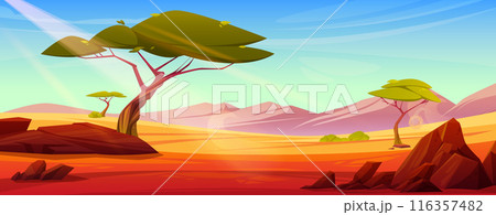 African savannah desert landscape 116357482