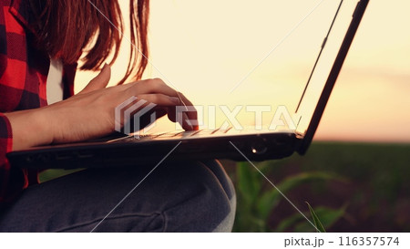 agriculture, woman farmer working laptop, farm field corn, modern farm business growing, agricultural tech sunset, tech-enhanced farming, farmer sunset productivity, digital farming tools, tech-savvy agriculture, woman farmer working laptop, farm field corn, modern farm business growing, agricultural tech sunset, tech-enhanced farming, farmer sunset productivity, digital farming tools, tech-savvy 116357574