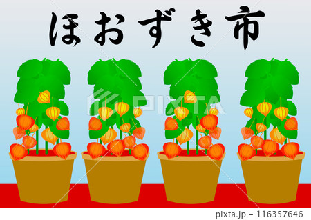 ほおずき市 116357646