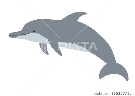 バンドウイルカ	 116357713