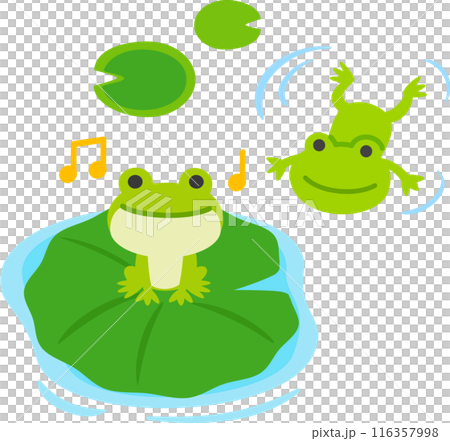 葉の上で鳴くカエルと泳ぐカエル 116357998