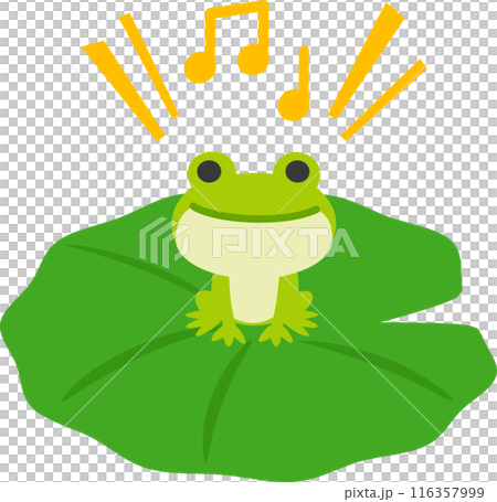 A frog character croaking on a water lily leaf 116357999