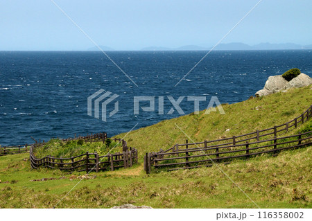 唐津市呼子　加部島の「杉ノ原放牧場」と玄界灘の青い海の風景 116358002