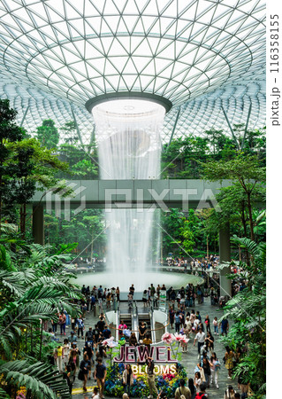 シンガポール　チャンギ空港　ジュエルの人工滝 116358155