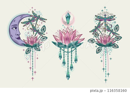 Mysterious labels with fantasy dragonfly, lotus flower, moon, text. Vintage illustrations on white background. For clothing, apparel, T-shirts, surface decoration. Mysterious labels with fantasy dragonfly, lotus flower, moon, text. Vintage illustrations on white background. For clothing, apparel, T-shirts, surface decoration. 116358160
