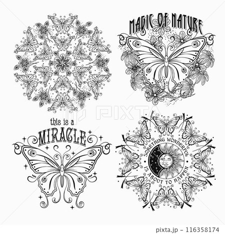 Summer labels with fantasy butterfly, chamomile flowers, text. Vintage monochrome illustrations on white background. For clothing, apparel, T-shirts, surface designs 116358174