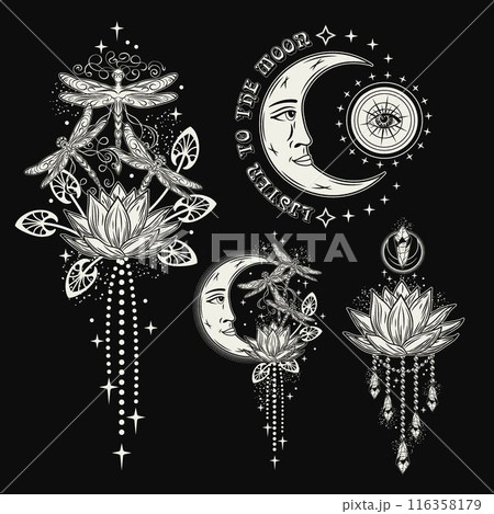 Mysterious labels with fantasy dragonfly, lotus flower, moon, text. Vintage monochrome illustrations on black background. For clothing, apparel, T-shirts, surface decoration. Mysterious labels with fantasy dragonfly, lotus flower, moon, text. Vintage monochrome illustrations on black background. For clothing, apparel, T-shirts, surface decoration. 116358179