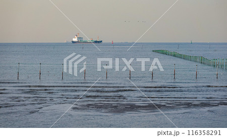 春の朝 ふなばし三番瀬海浜公園の干潟(千葉県船橋市) 春の朝 ふなばし三番瀬海浜公園の干潟(千葉県船橋市) 116358291