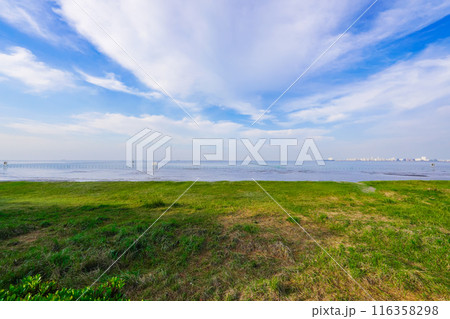 春の朝 ふなばし三番瀬海浜公園の干潟(千葉県船橋市) 春の朝 ふなばし三番瀬海浜公園の干潟(千葉県船橋市) 116358298