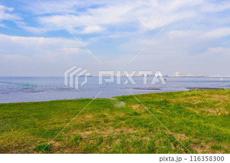 春の朝 ふなばし三番瀬海浜公園の干潟(千葉県船橋市) 春の朝 ふなばし三番瀬海浜公園の干潟(千葉県船橋市) 116358300