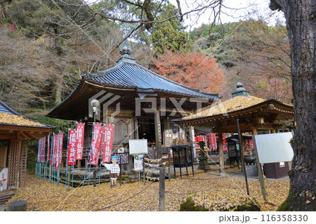 龍蔵寺 秋 龍蔵寺 秋 116358330