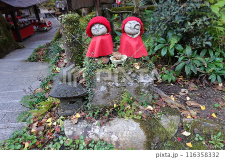 龍蔵寺 秋 龍蔵寺 秋 116358332