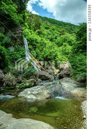紅葉川渓谷 紅葉川渓谷 116358395