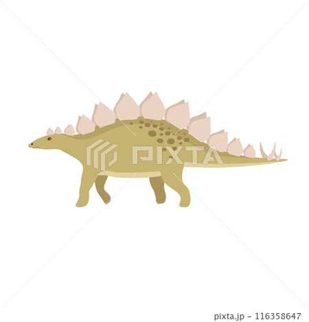 Vector flat hand drawn stegosaurus dinosaur 116358647