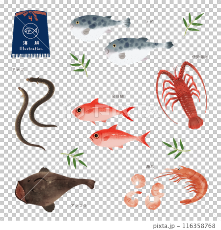 いろいろな魚の水彩風イラストセット(4) いろいろな魚の水彩風イラストセット(4) 116358768