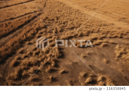A striking image of a farmer tilling dry, barren soil in a challenging arid landscape, embodying the resilience and determination needed to sustain agriculture in harsh conditions A striking image of a farmer tilling dry, barren soil in a challenging arid landscape, embodying the resilience and determination needed to sustain agriculture in harsh conditions 116358945