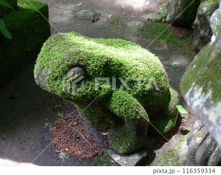 深沢銭洗弁天(塔ノ沢駅) 深沢銭洗弁天(塔ノ沢駅) 116359334