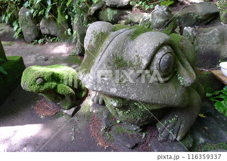 深沢銭洗弁天（塔ノ沢駅） 116359337